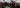 autumn colour trends for flowers from best manchester florist, the flower lounge