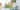 Summer Flowers