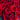 50 Red Rose Bouquet