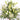 Natural White Vase