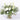 Winter White Bouquet