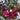 Winterberry Bouquet