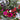 Winterberry Vase Design